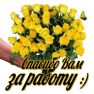 Благодарственные письма медиаторам МПЦ